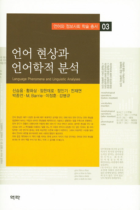 언어 현상과 언어학적 분석(언어와 정보사회 학술 총서 3)(양장본 Hardcover)