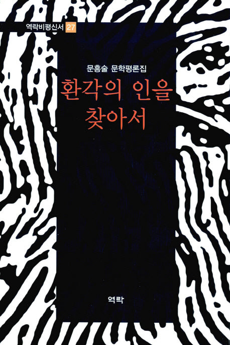 환각의 인을 찾아서(역락비평신서 27)