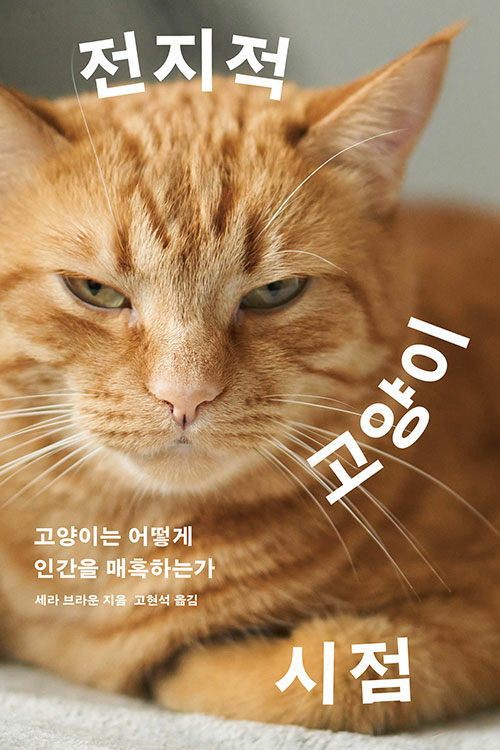 전지적 고양이 시점