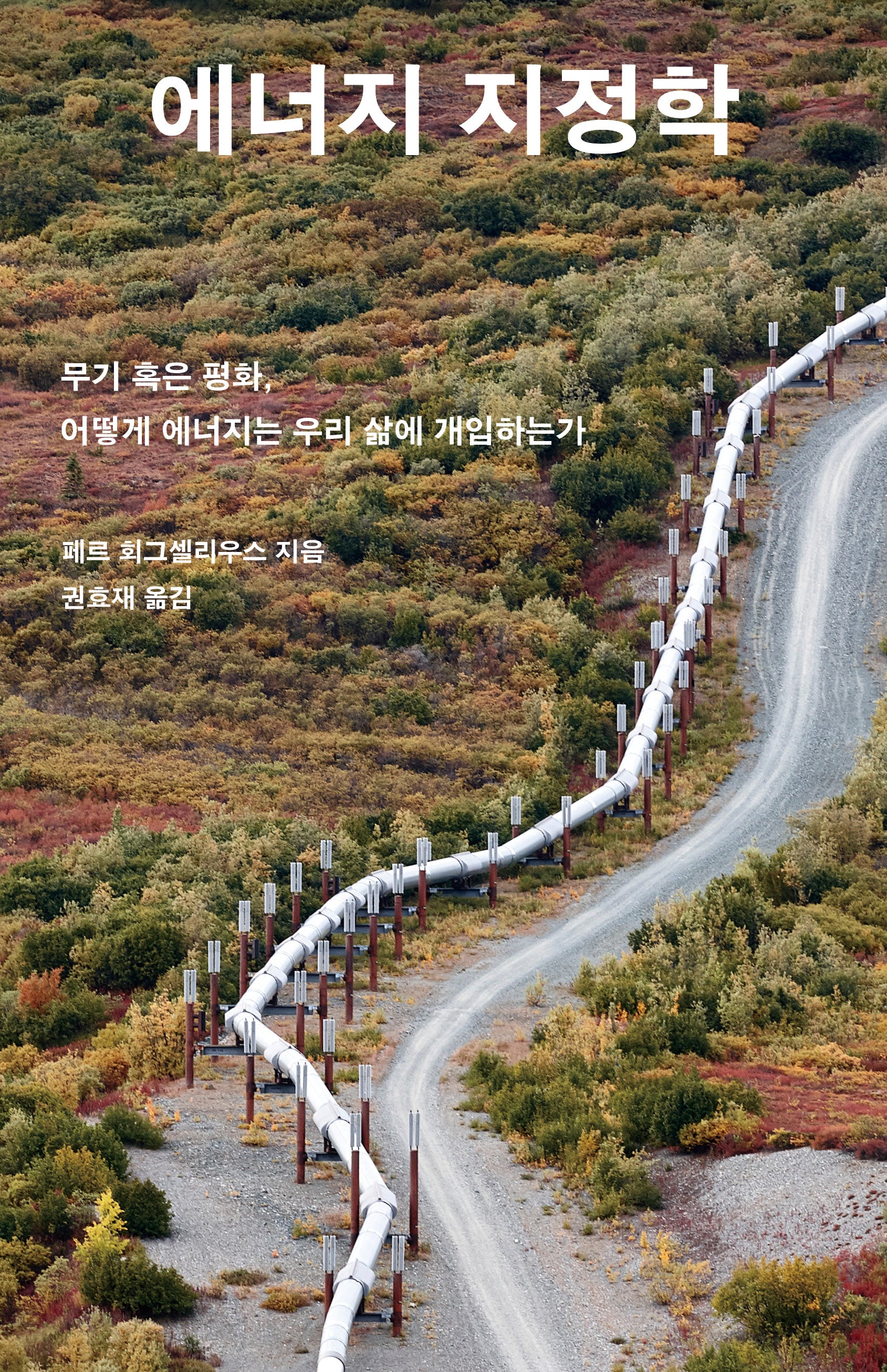 에너지 지정학