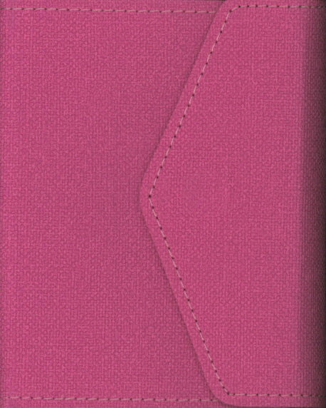 Holy Bible 성경전서 개역한글 42HC(지갑식/핑크)