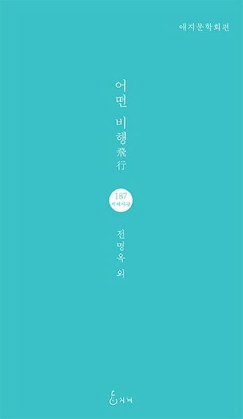 어떤 비행(지혜사랑 시인선 187)