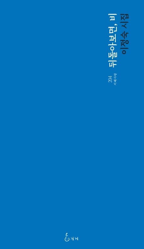 뒤돌아보면, 비(지혜사랑 시인선 204)