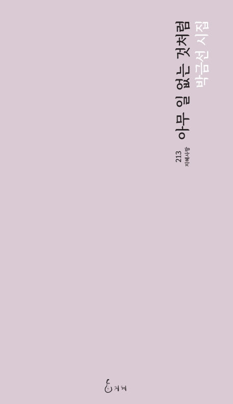 아무 일 없는 것처럼(지혜사랑 시인선 213)