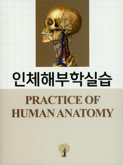 인체해부학실습