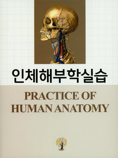 인체해부학실습