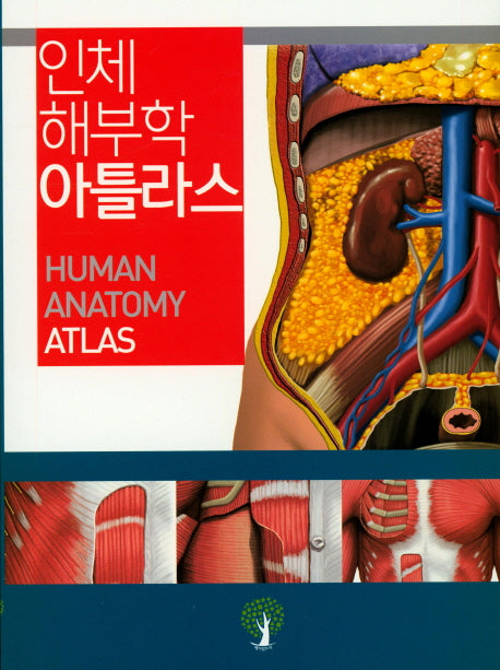 인체 해부학 아틀라스