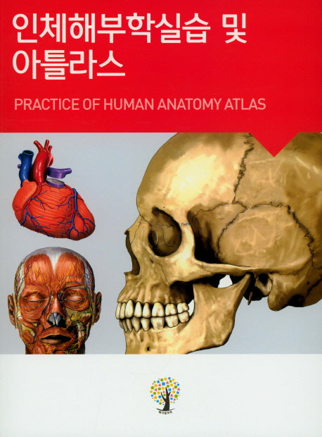 인체해부학실습 및 아틀라스