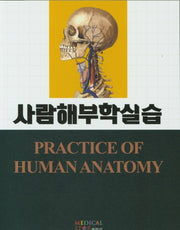 사람해부학실습