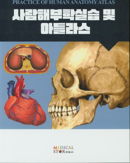 사람해부학실습 및 아틀라스