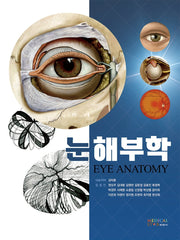 눈해부학