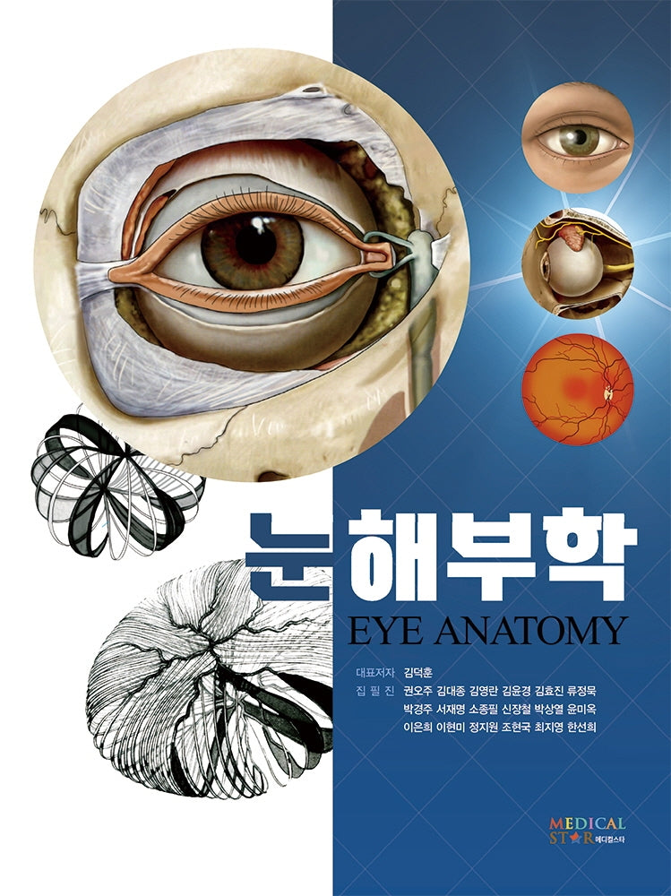 눈해부학