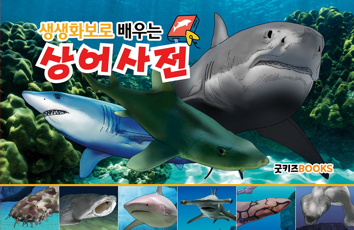 생생화보로 배우는 상어사전(보급판)