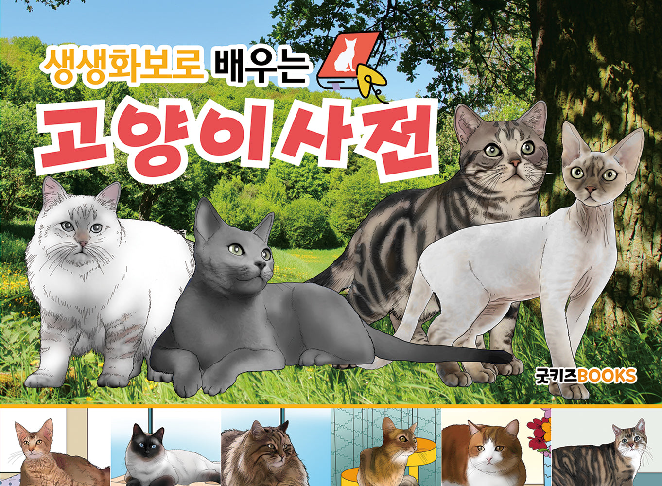 생생화보로 배우는 고양이사전