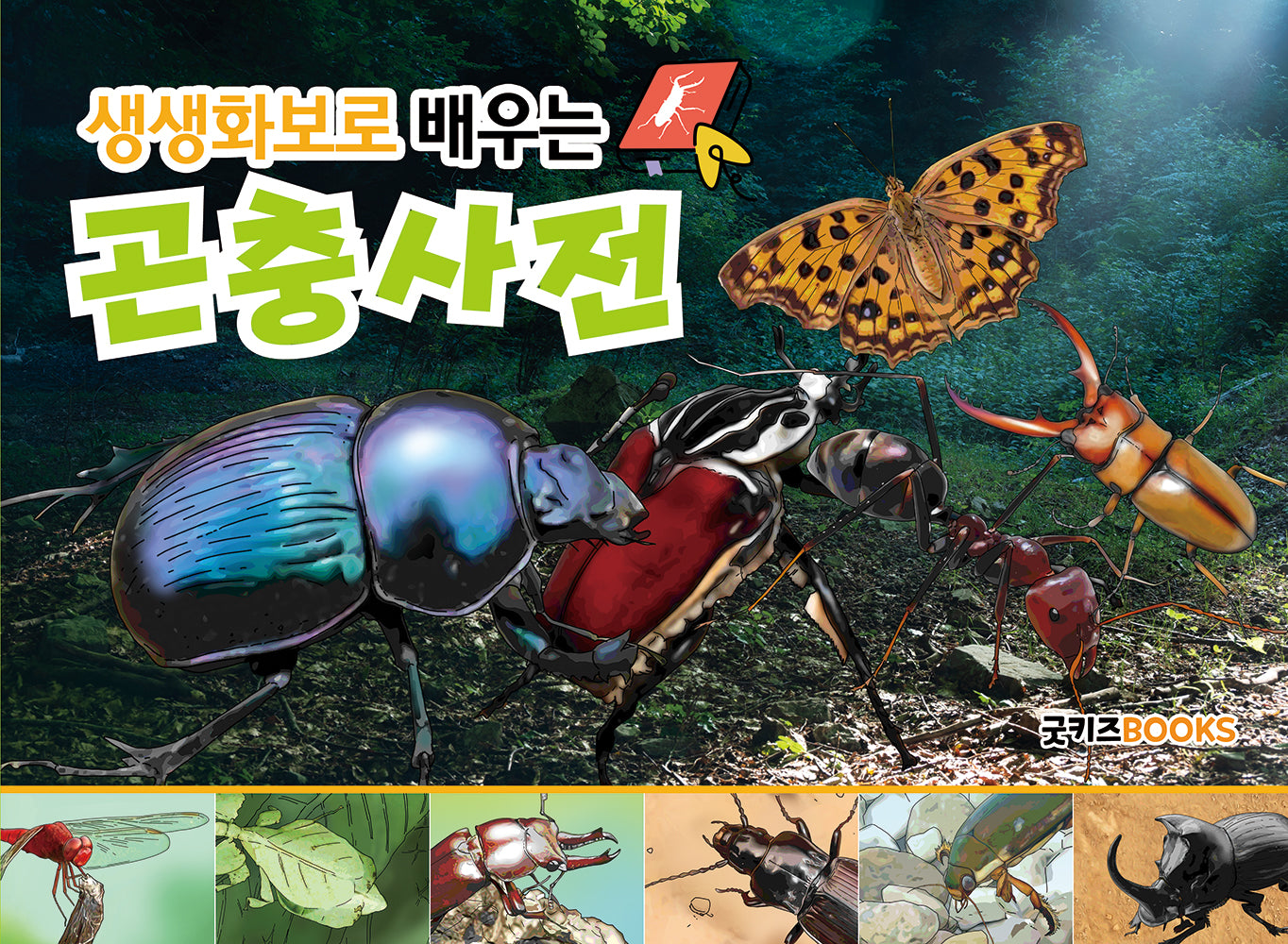 생생화보로 배우는 곤충사전