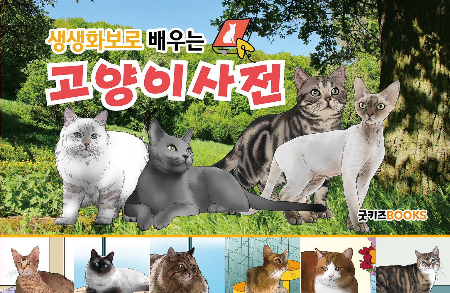 생생화보로 배우는 고양이사전(보급판)