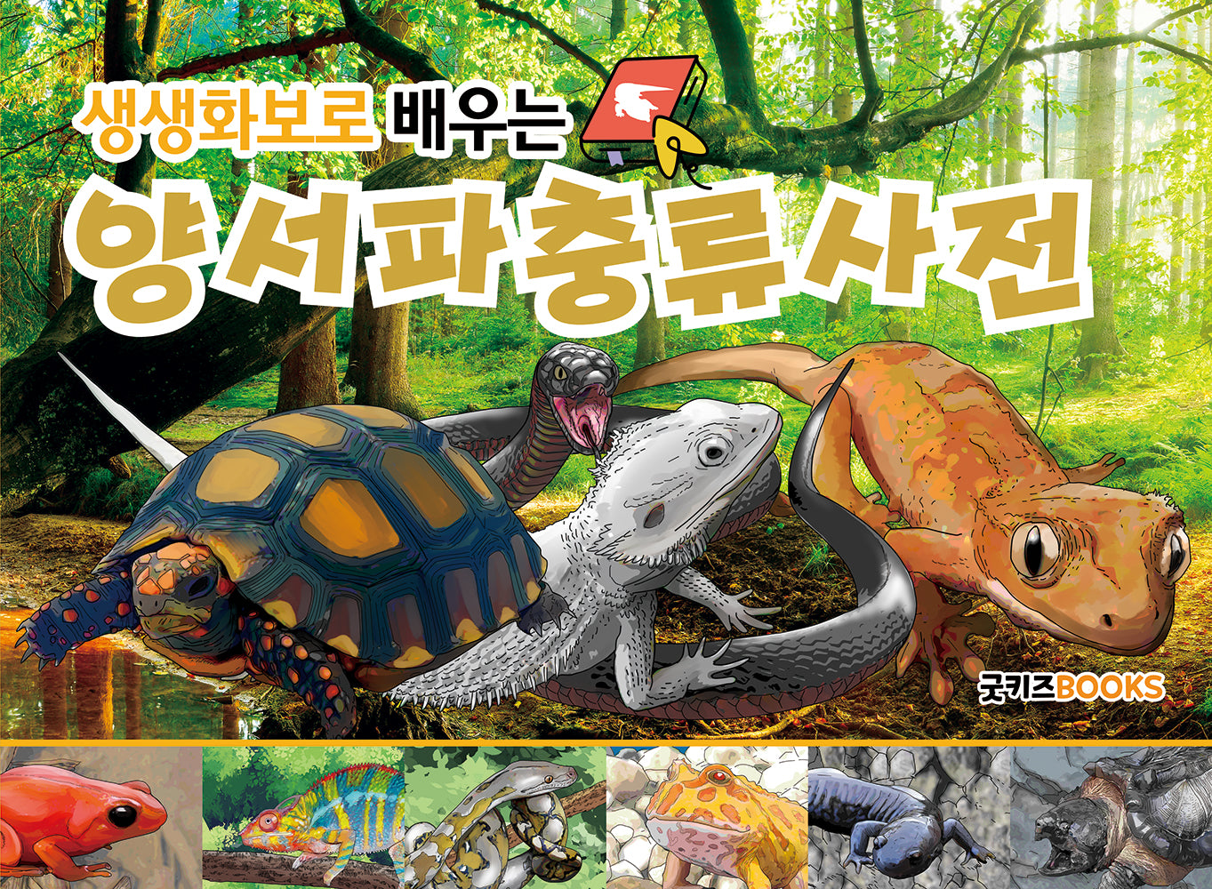 생생화보로 배우는 양서 파충류사전