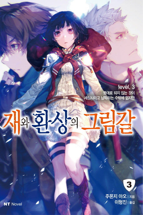 재와 환상의 그림갈 3(엔티노벨(NT Novel))