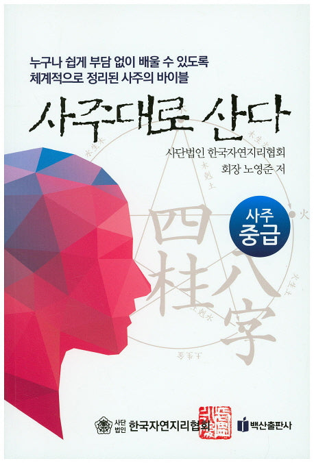 사주대로 산다: 사주 중급