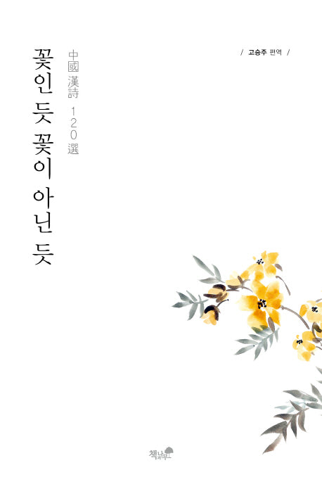 꽃인 듯 꽃이 아닌 듯