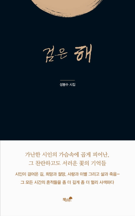 검은 해