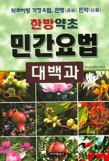 한방약초 민간요법 대백과