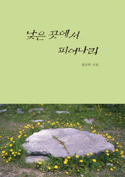 낮은 곳에서 피어나리