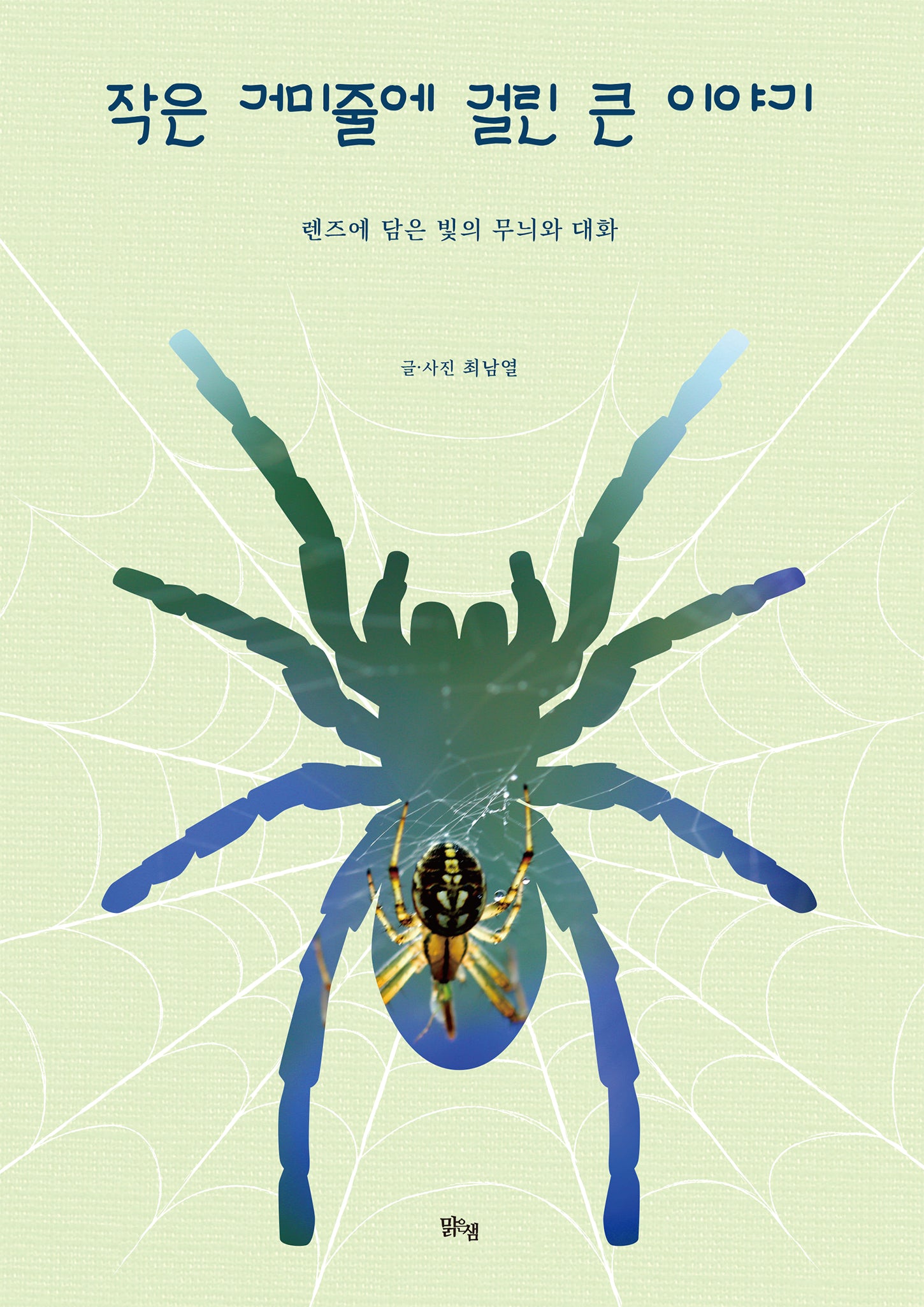 작은 거미줄에 걸린 큰 이야기