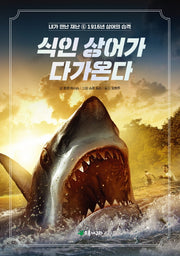 식인 상어가 다가온다(내가 만난 재난 6)