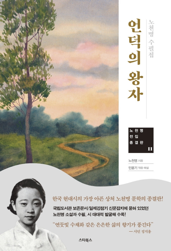 언덕의 왕자(노천명 전집 종결판 2)