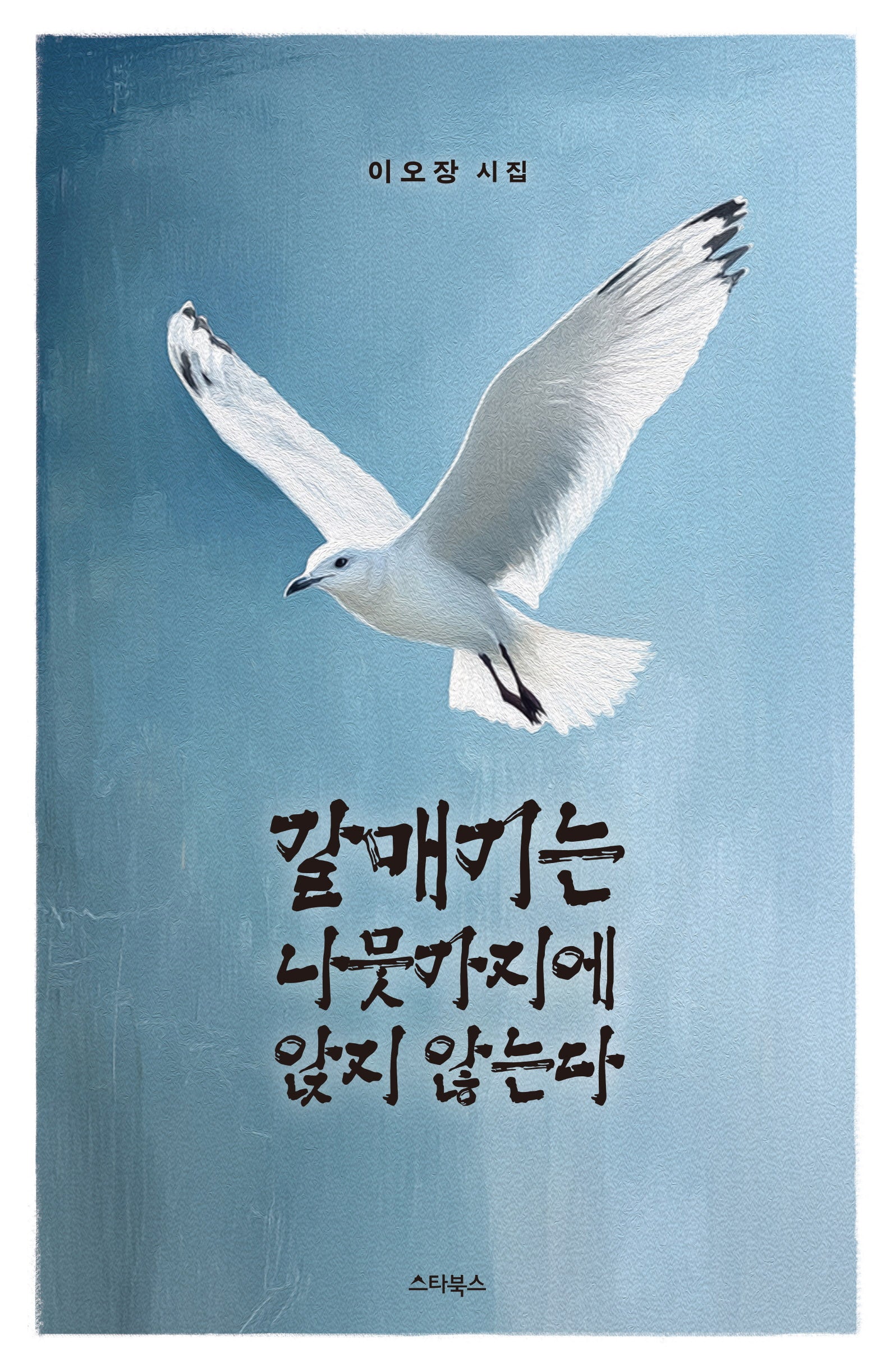 갈매기는 나뭇가지에 앉지 않는다