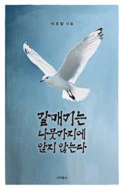 갈매기는 나뭇가지에 앉지 않는다