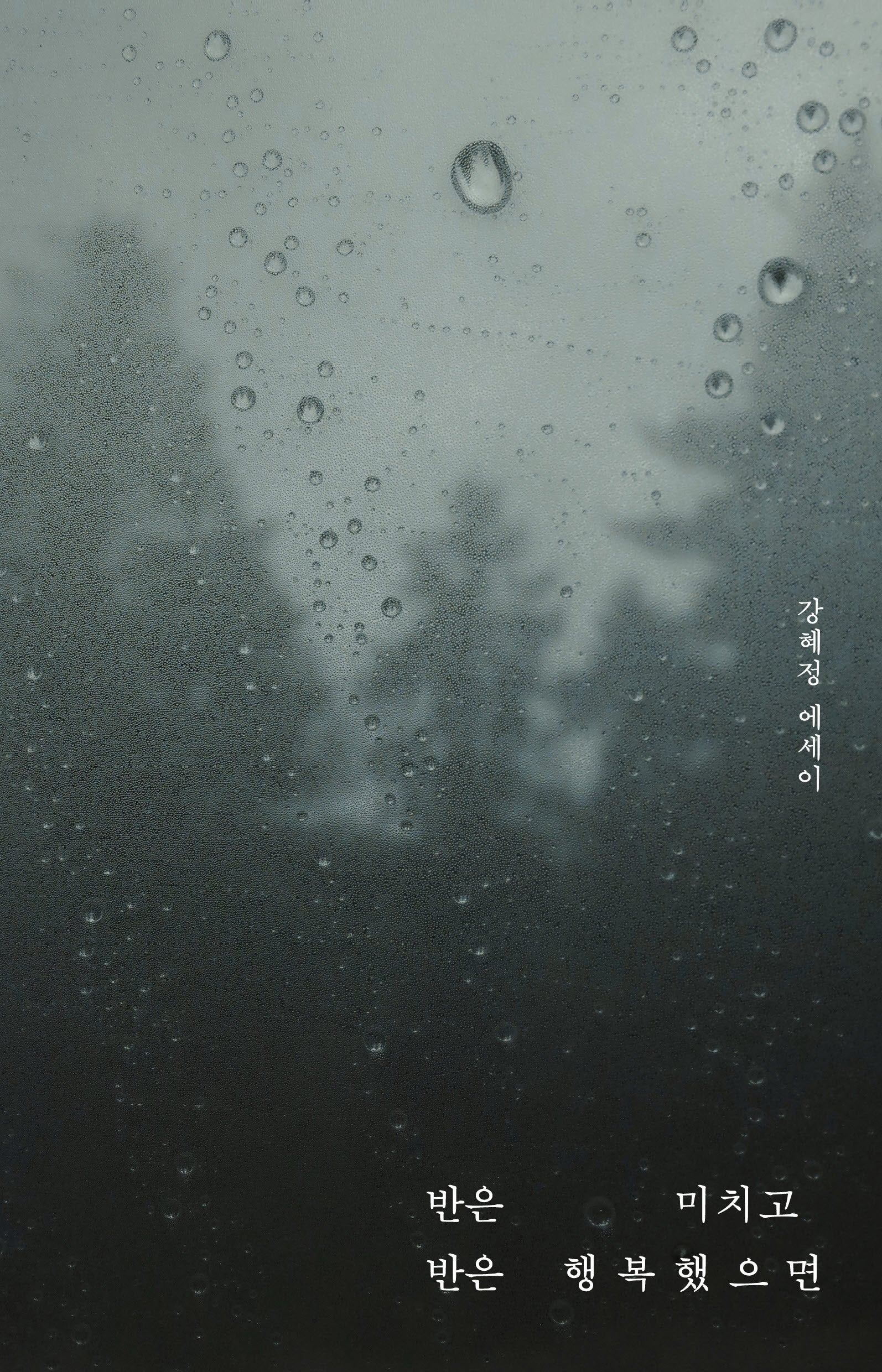 반은 미치고 반은 행복했으면(양장본 Hardcover)