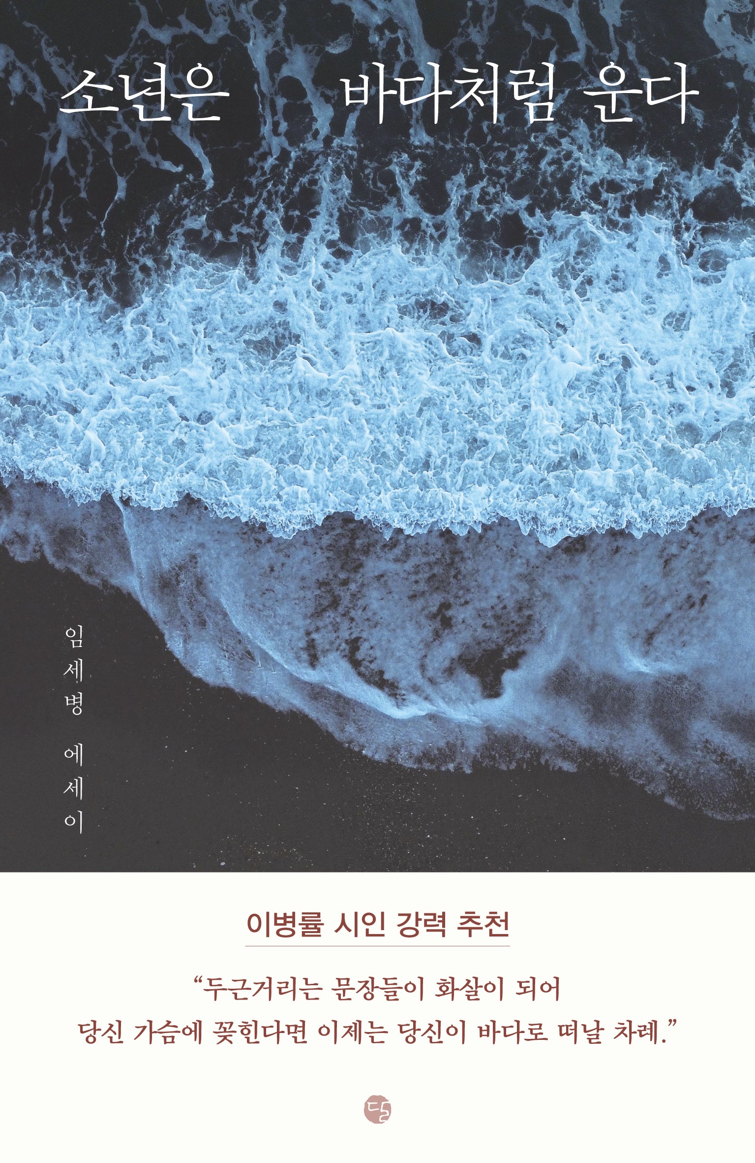소년은 바다처럼 운다