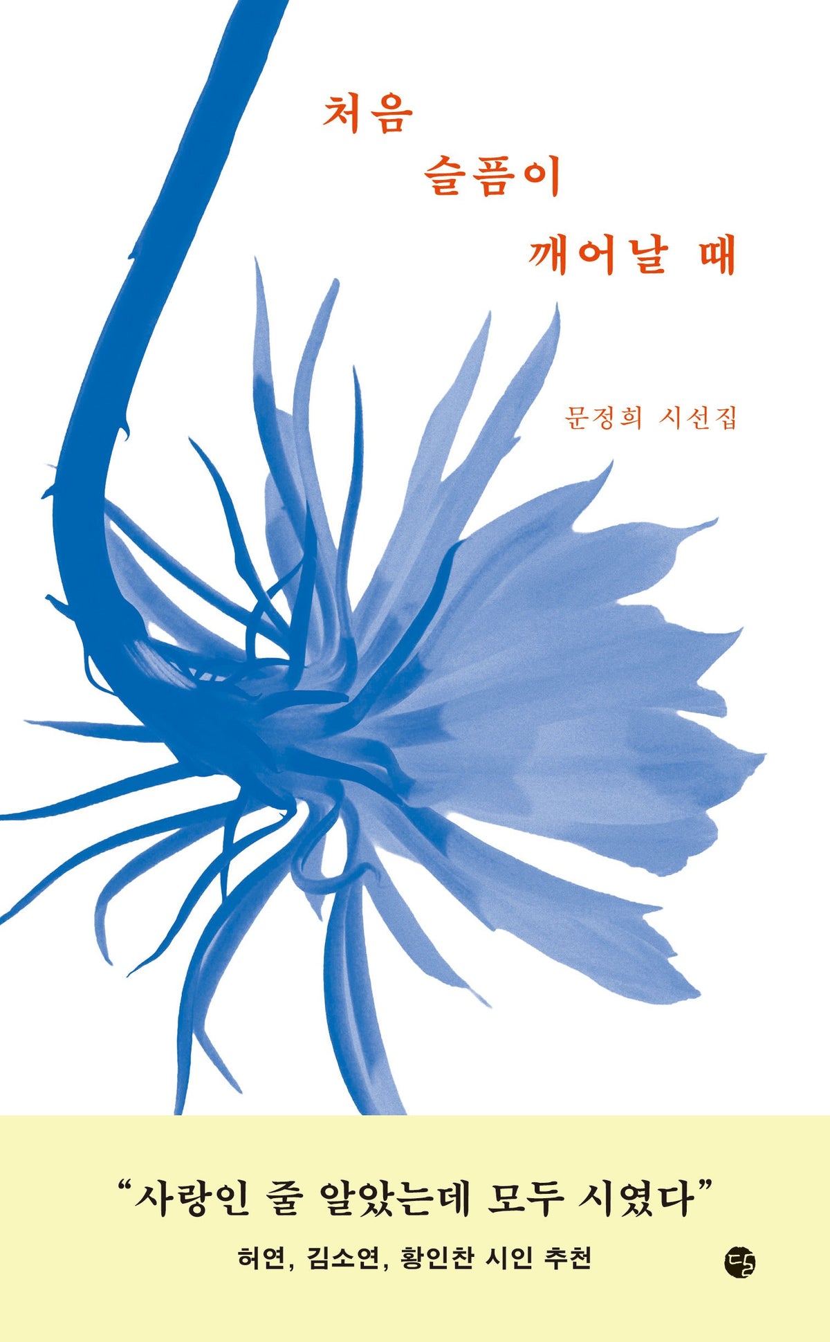 처음 슬픔이 깨어날 때(양장본 Hardcover)