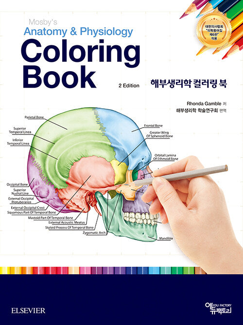 해부생리학 컬러링북