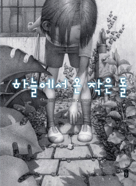 하늘에서 온 작은 돌(작은곰자리 43)(양장본 HardCover)