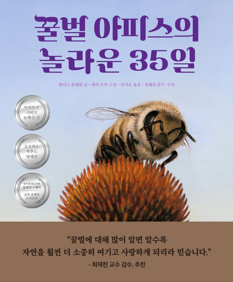 꿀벌 아피스의 놀라운 35일(생각곰곰 9)(양장본 Hardcover)