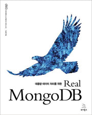 Real MongoDB(대용량 데이터 처리를 위한)(데이터베이스 & 빅데이터 시리즈 18)