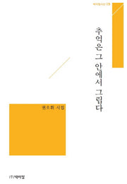 추억은 그 안에서 그립다(박이정시선 3)
