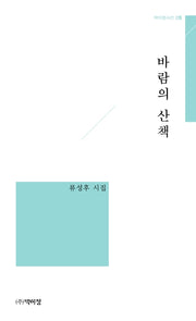 바람의 산책(박이정 시선 5)
