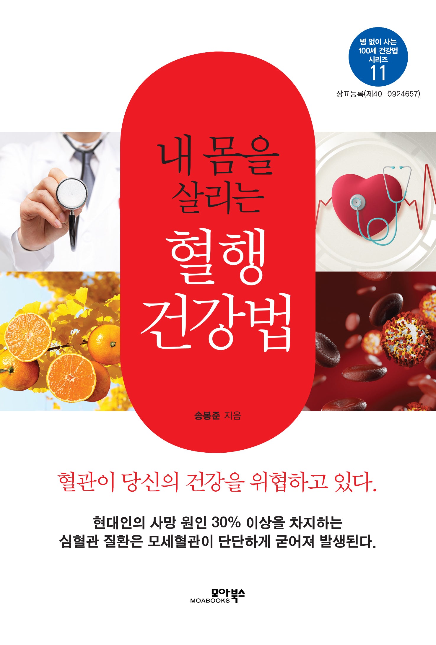 내 몸을 살리는 혈행 건강법(병 없이 사는 100세 건강법 시리즈 11)