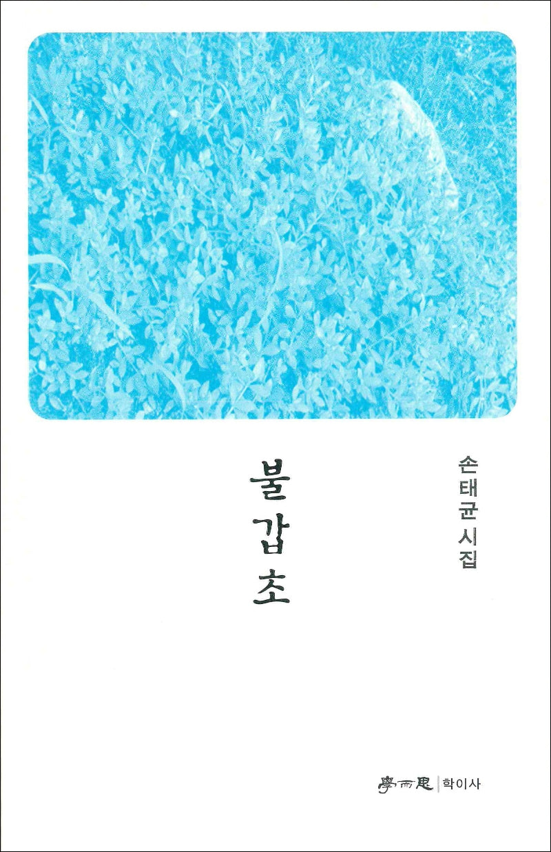 불갑초