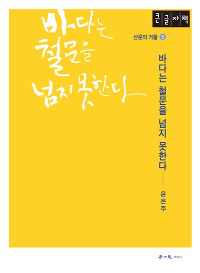 바다는 철문을 넘지 못한다(큰글자책)