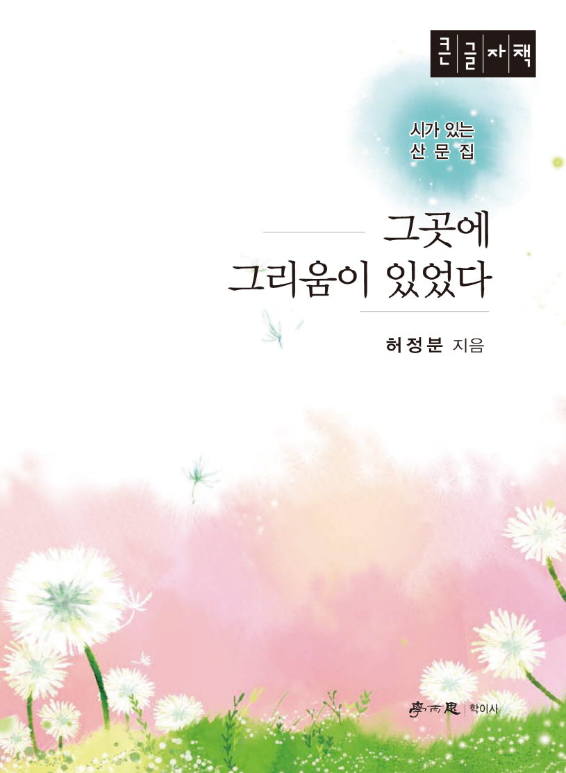 그곳에 그리움이 있었다(큰글자책)