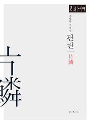 편린(큰글자책)