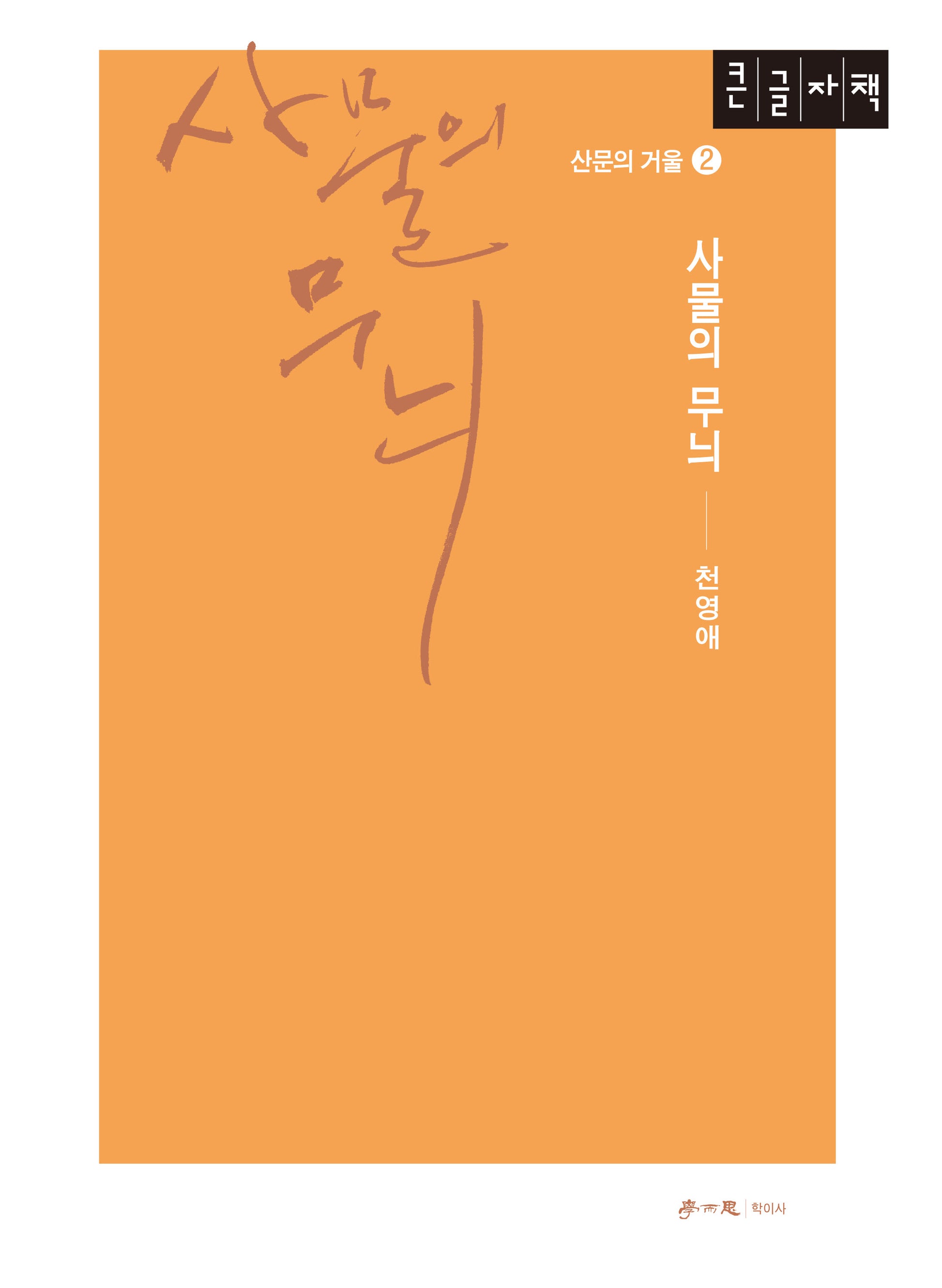 사물의 무늬(큰글자책)