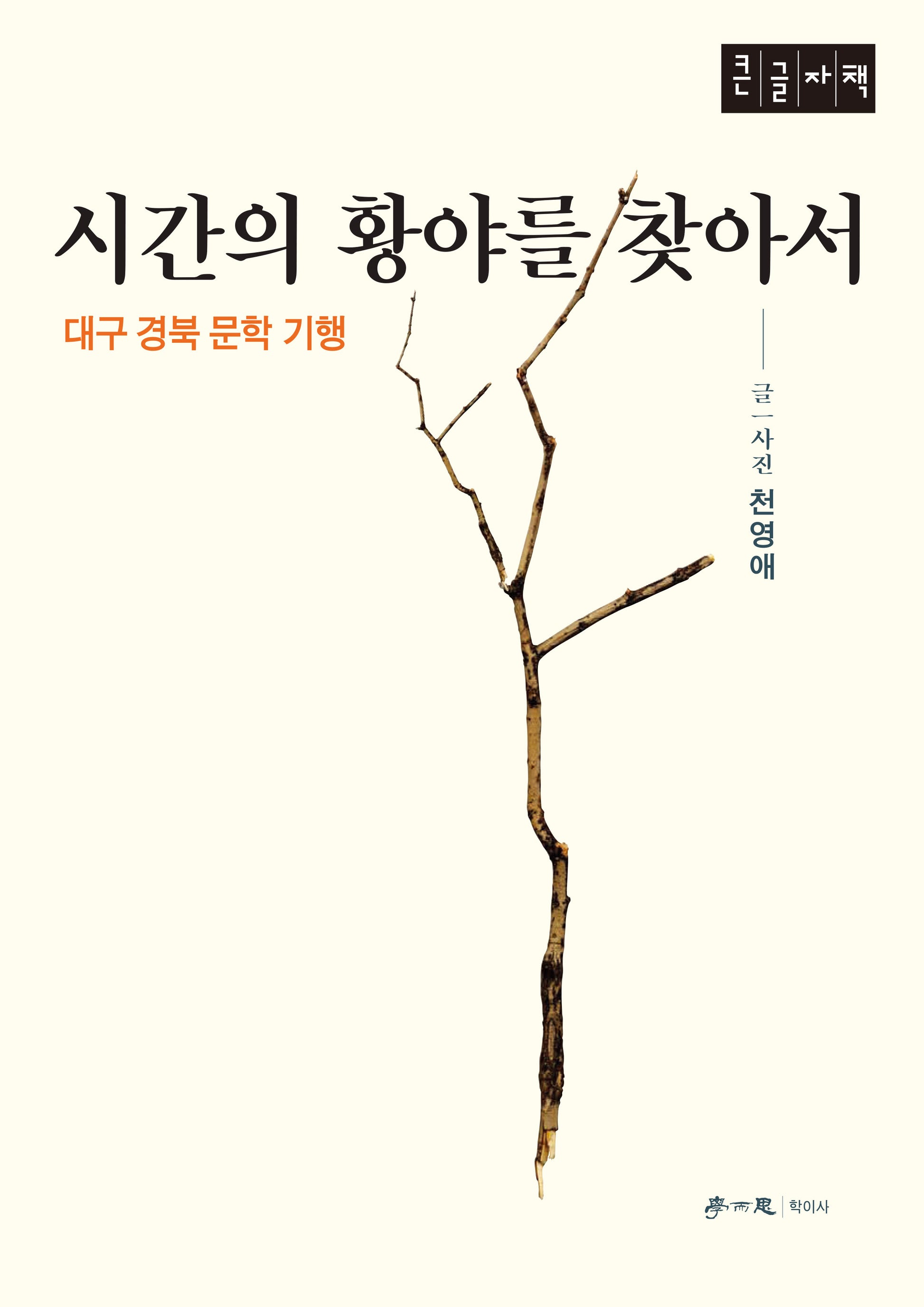 시간의 황야를 찾아서(큰글자책)