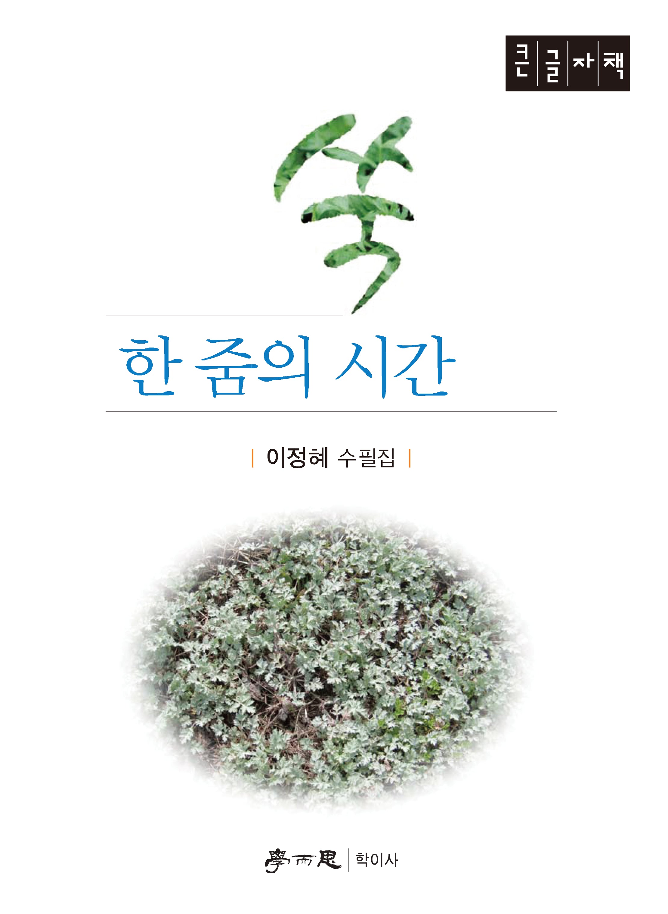 쑥 한 줌의 시간(큰글자도서)