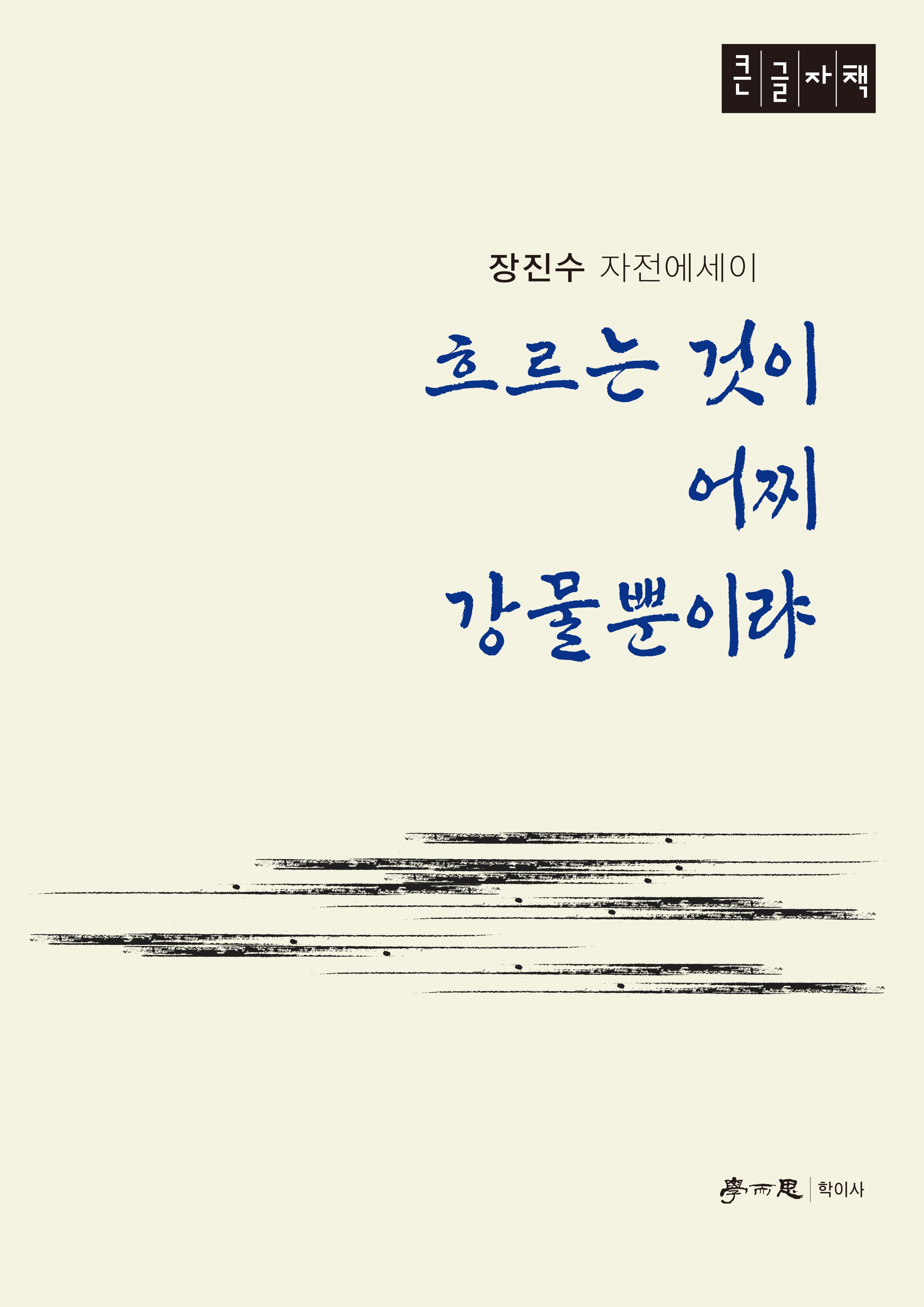 흐르는 것이 어찌 강물뿐이랴(큰글자도서)